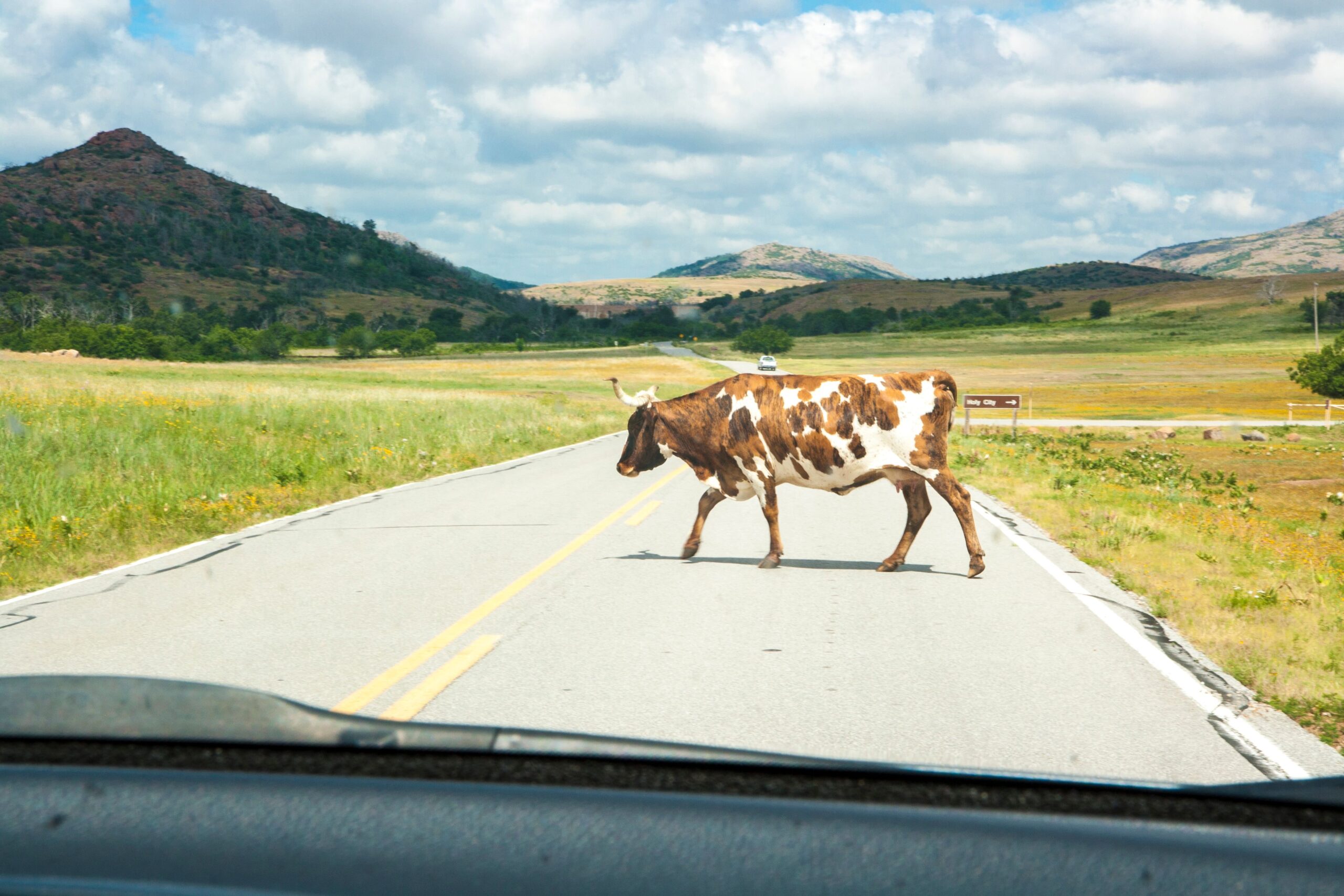 A longhorn cow crosses a rural road in the scenic Oklahoma countryside, surrounded by hills.